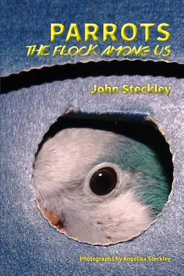 Papagali: The Flock Among Us, ediție color de lux - Parrots: The Flock Among Us, Deluxe Colour Edition