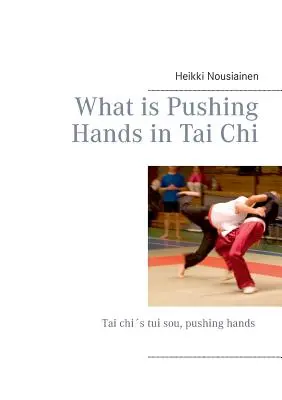Ce este împingerea mâinilor în Tai Chi - What is Pushing Hands in Tai Chi
