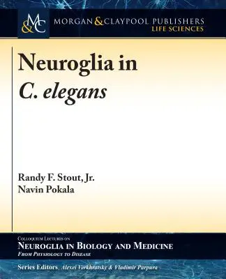Neuroglia în C. elegans - Neuroglia in C. elegans
