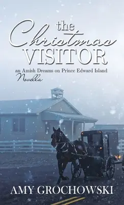 Vizitatorul de Crăciun - The Christmas Visitor