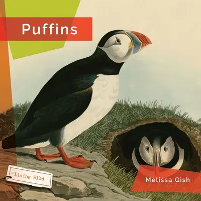 Pufuleți - Puffins
