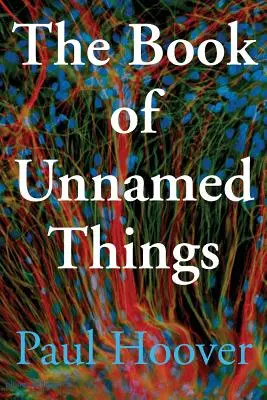 Cartea lucrurilor fără nume (The Book of Unnamed Things) - The Book of Unnamed Things