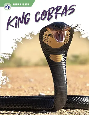 Regele Cobrelor - King Cobras