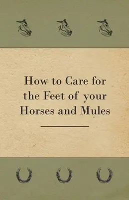 Cum să aveți grijă de picioarele cailor și catârilor dumneavoastră - How to Care for the Feet of your Horses and Mules