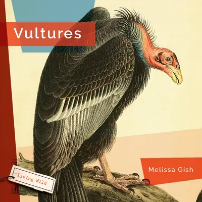 Vulturi - Vultures