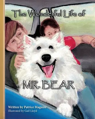 Minunata viață a domnului Urs - The Wonderful Life of Mr. Bear