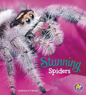 Păianjeni uimitori - Stunning Spiders