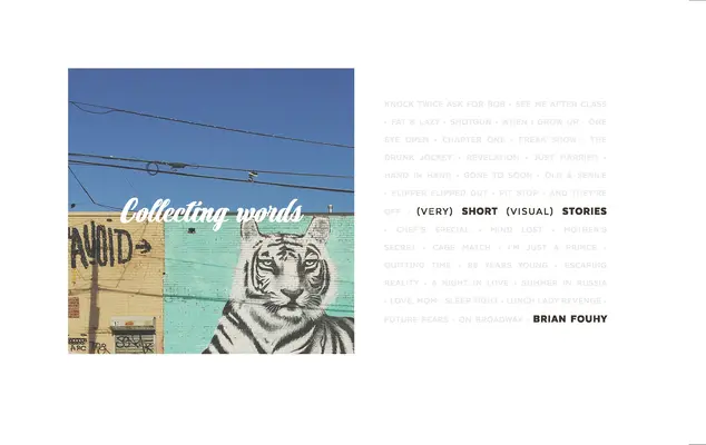 Colecționarea cuvintelor: Povestiri vizuale scurte - Collecting Words: Short Visual Stories
