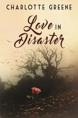 Dragoste în dezastru - Love in Disaster