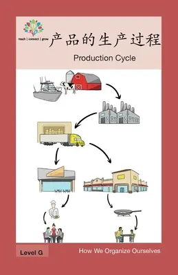 产品的生产过程: Ciclul de producție - 产品的生产过程: Production Cycle