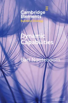 Capabilități dinamice: Istorie și o extindere - Dynamic Capabilities: History and an Extension