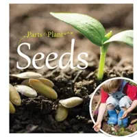 Semințe - Seeds