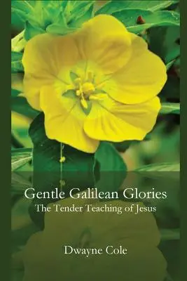 Gentle Galilean Glories: Învățăturile tandre ale lui Iisus - Gentle Galilean Glories: The Tender Teachings of Jesus