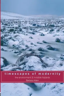 Timescapes of Modernity: Mediul și pericolele invizibile - Timescapes of Modernity: The Environment and Invisible Hazards