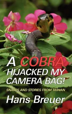 O cobră mi-a deturnat geanta cu aparat foto! Șerpi și povești din Taiwan - A Cobra Hijacked My Camera Bag! Snakes and Stories from Taiwan