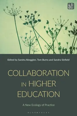 Colaborarea în învățământul superior - Collaboration in Higher Education