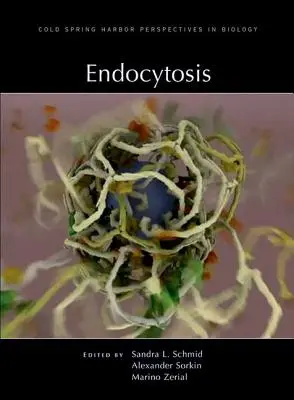 Endocitoza - Endocytosis