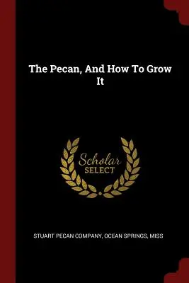 Nucile Pecan și cum să le cultivi - The Pecan, And How To Grow It