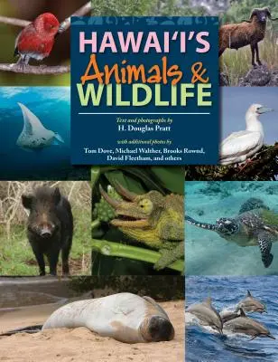 Animalele și viața sălbatică din Hawaii - Hawaii's Animals and Wildlife