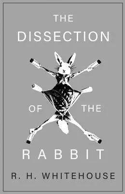 Disecția iepurelui - The Dissection of the Rabbit