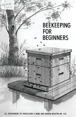 Apicultură pentru începători - Beekeeping for Beginners