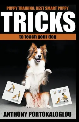 Trucuri pentru câini: Cele mai bune trucuri inteligente pentru a vă învăța câinele în timp record - Dog Tricks: Best Smart Dog Tricks to Teach Your Dog in Record Time