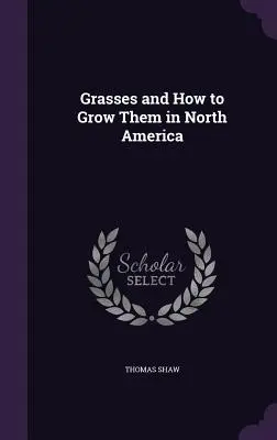 Ierburi și modul de cultivare a acestora în America de Nord - Grasses and How to Grow Them in North America