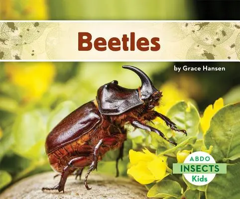 Gândaci - Beetles
