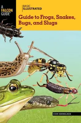 Ghid ilustrat de bază pentru broaște, șerpi, gândaci și melci - Basic Illustrated Guide to Frogs, Snakes, Bugs, and Slugs