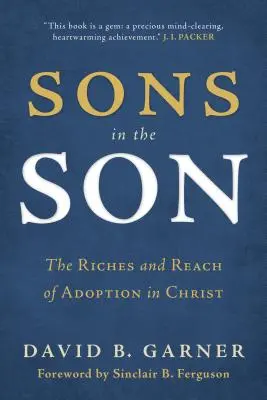 Fii în fiu: Bogăția și întinderea adopției în Hristos (The Riches and Reach of Adoption in Christ) - Sons in the Son: The Riches and Reach of Adoption in Christ