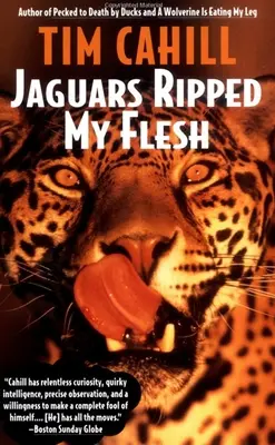 Jaguarii mi-au sfâșiat carnea - Jaguars Ripped My Flesh