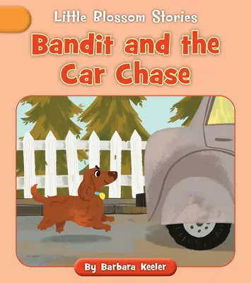Banditul și urmărirea mașinii - Bandit and the Car Chase
