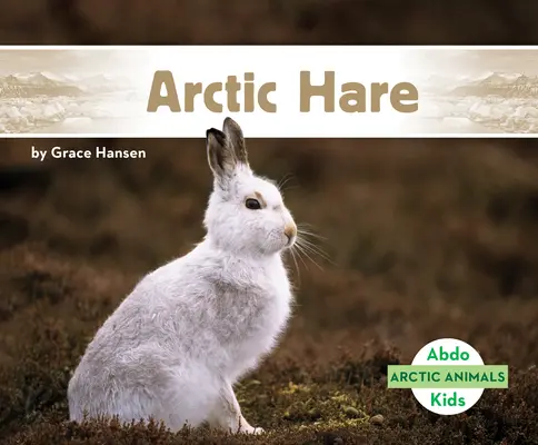 Iepurele arctic - Arctic Hare
