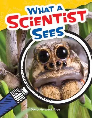 Ce vede un om de știință - What a Scientist Sees