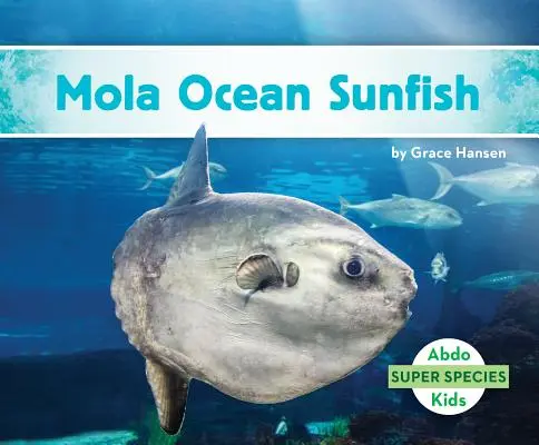 Peștișorul de mare Mola - Mola Ocean Sunfish