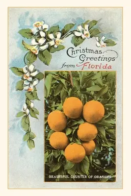 Jurnal de epocă Christmas Greetings from Florida - Vintage Journal Christmas Greetings from Florida
