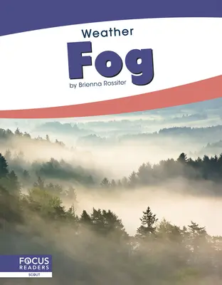 Ceață - Fog