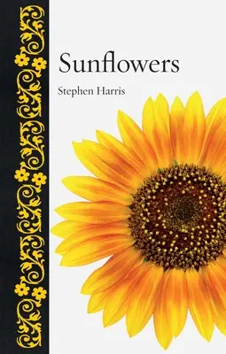 Floarea-soarelui - Sunflowers