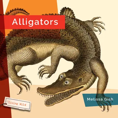 Aligatori - Alligators
