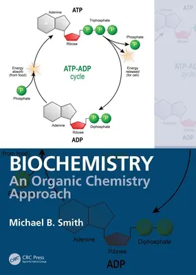 Biochimie: O abordare a chimiei organice - Biochemistry: An Organic Chemistry Approach