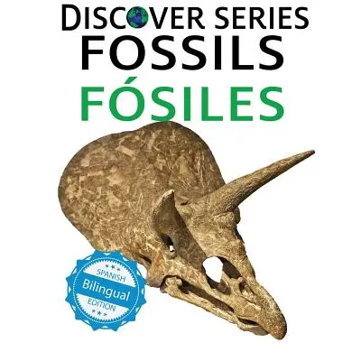 Fossils / Fosile - Fossils / Fosiles