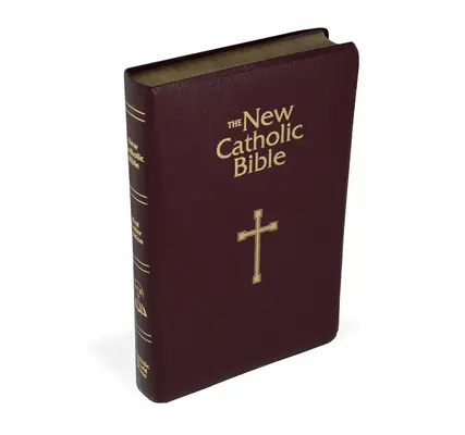 Biblia Ncb pentru cadouri și premii - Ncb Gift & Award Bible