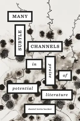 Multe canale subtile: Elogiu literaturii potențiale - Many Subtle Channels: In Praise of Potential Literature