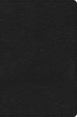 Biblie de studiu CSB Everyday, piele neagră întărită - CSB Everyday Study Bible, Black Bonded Leather