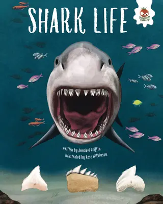 Viața rechinilor - Shark Life