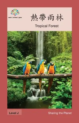 熱帶雨林: Pădure tropicală - 熱帶雨林: Tropical Forest