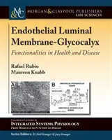 Membrana luminoasă endotelială-glicocalix: funcționalități în sănătate și boală - Endothelial Luminal Membrane-Glycocalyx: Functionalities in Health and Disease