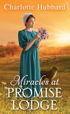 Miracole la Promise Lodge - Miracles at Promise Lodge