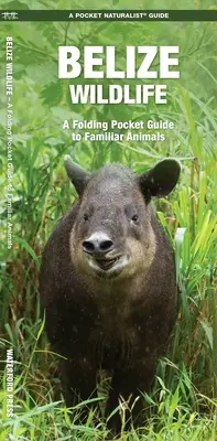 Viața sălbatică din Belize: Un ghid de buzunar pliabil pentru animale familiare - Belize Wildlife: A Folding Pocket Guide to Familiar Animals