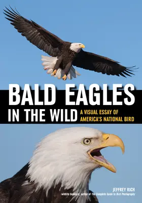 Bald Eagles in the Wild: Un eseu vizual al păsării naționale a Americii - Bald Eagles in the Wild: A Visual Essay of America's National Bird